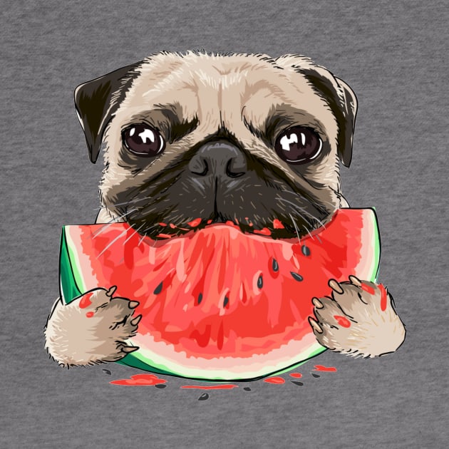 funny funny pug dog eating watermelon by amramna